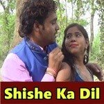 Satendra Sawariya Songs MP3 Download